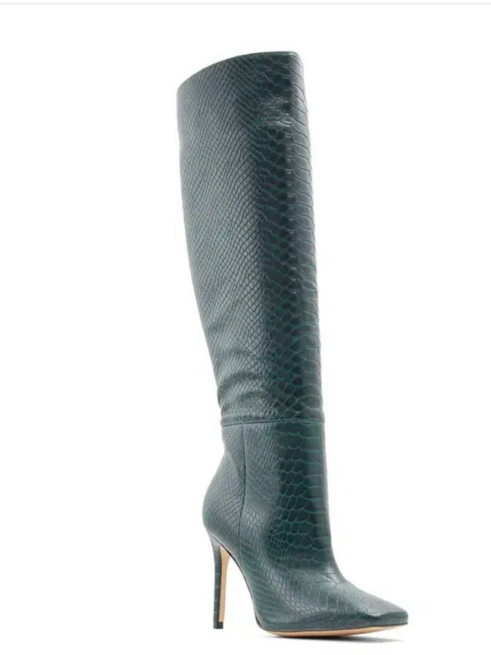Aldo Oluria Knee High Boot